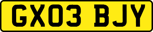 GX03BJY