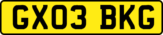 GX03BKG