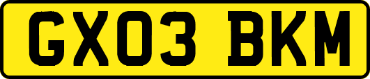 GX03BKM