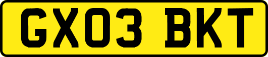 GX03BKT