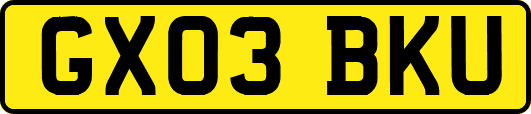 GX03BKU