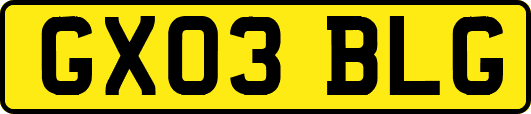 GX03BLG