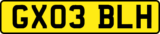 GX03BLH