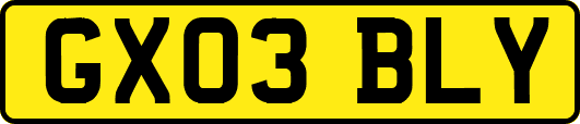 GX03BLY