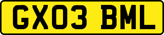 GX03BML