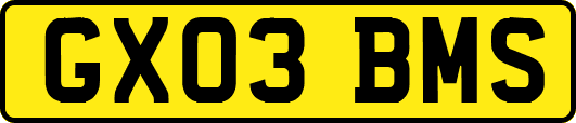 GX03BMS