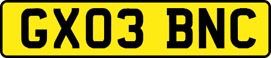 GX03BNC