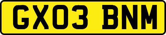 GX03BNM