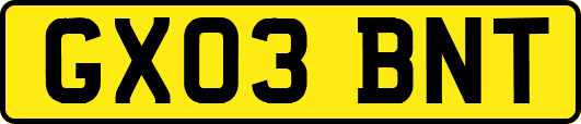 GX03BNT