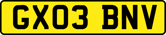 GX03BNV
