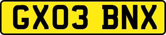 GX03BNX