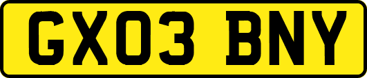 GX03BNY