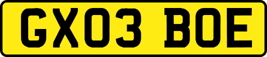 GX03BOE