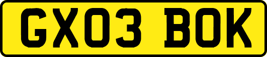 GX03BOK