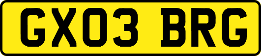 GX03BRG