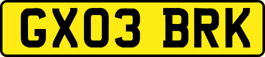 GX03BRK