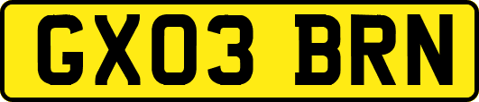 GX03BRN