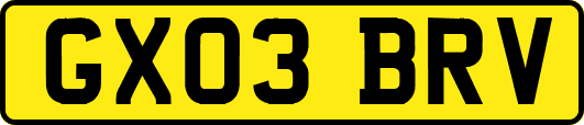 GX03BRV