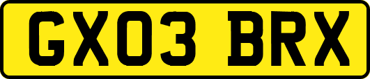 GX03BRX