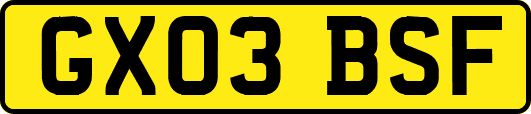 GX03BSF