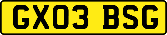 GX03BSG