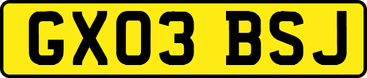 GX03BSJ