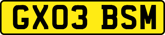 GX03BSM