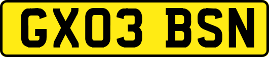 GX03BSN