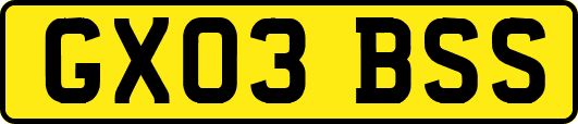 GX03BSS