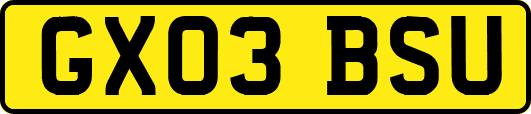 GX03BSU