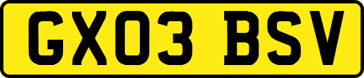 GX03BSV