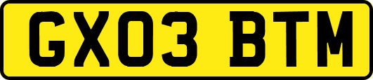 GX03BTM