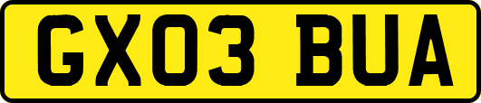 GX03BUA