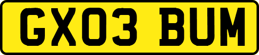 GX03BUM
