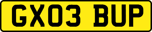 GX03BUP