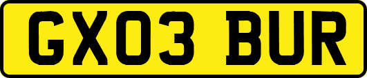 GX03BUR