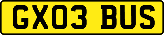GX03BUS