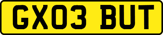 GX03BUT