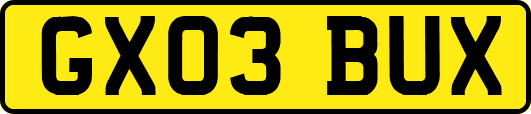 GX03BUX