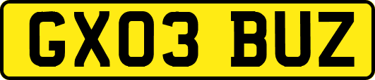 GX03BUZ