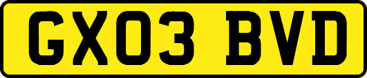 GX03BVD