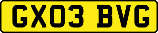 GX03BVG