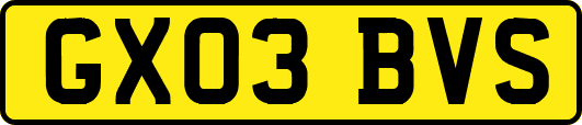 GX03BVS