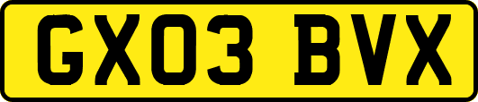 GX03BVX
