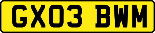GX03BWM