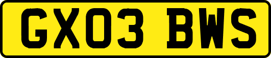 GX03BWS