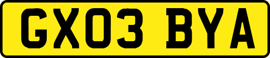 GX03BYA