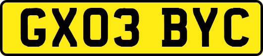 GX03BYC