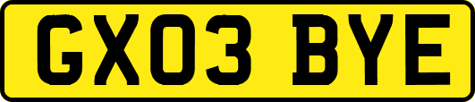 GX03BYE