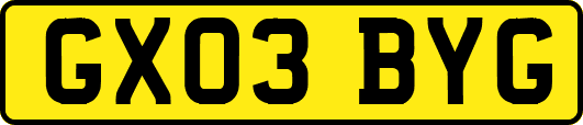 GX03BYG
